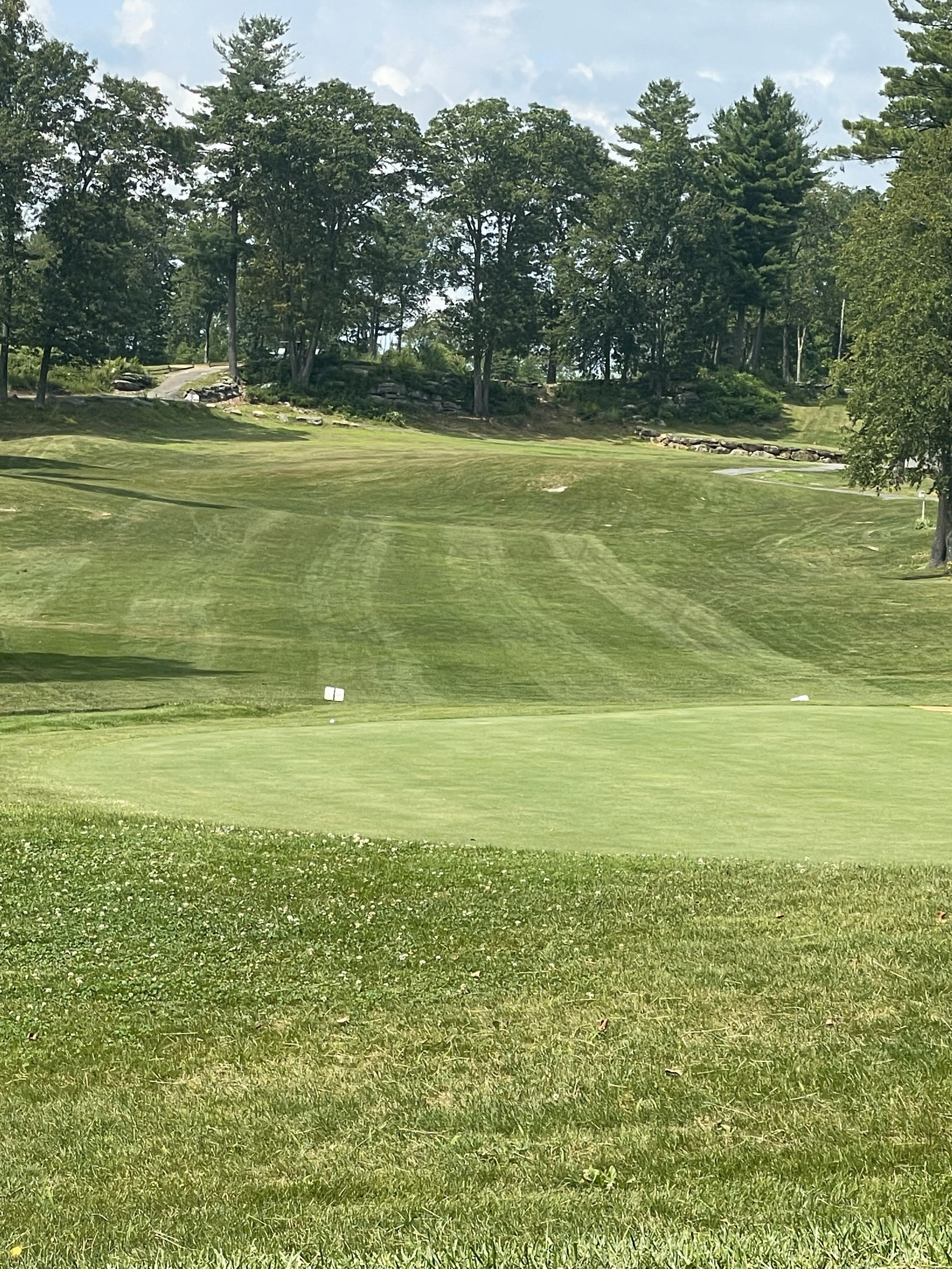 View of golf course fairway greens
