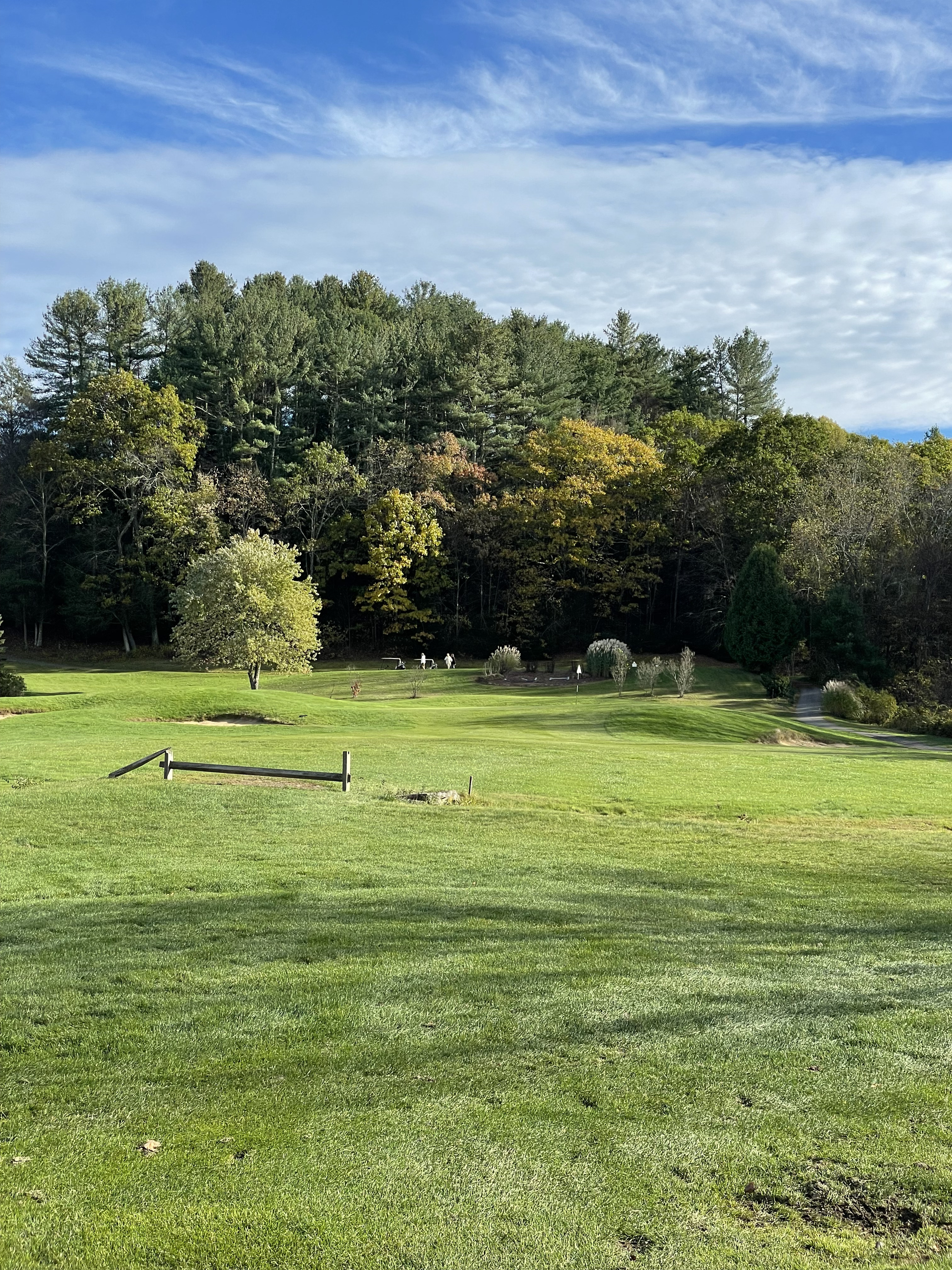Golf course green with trees in distance