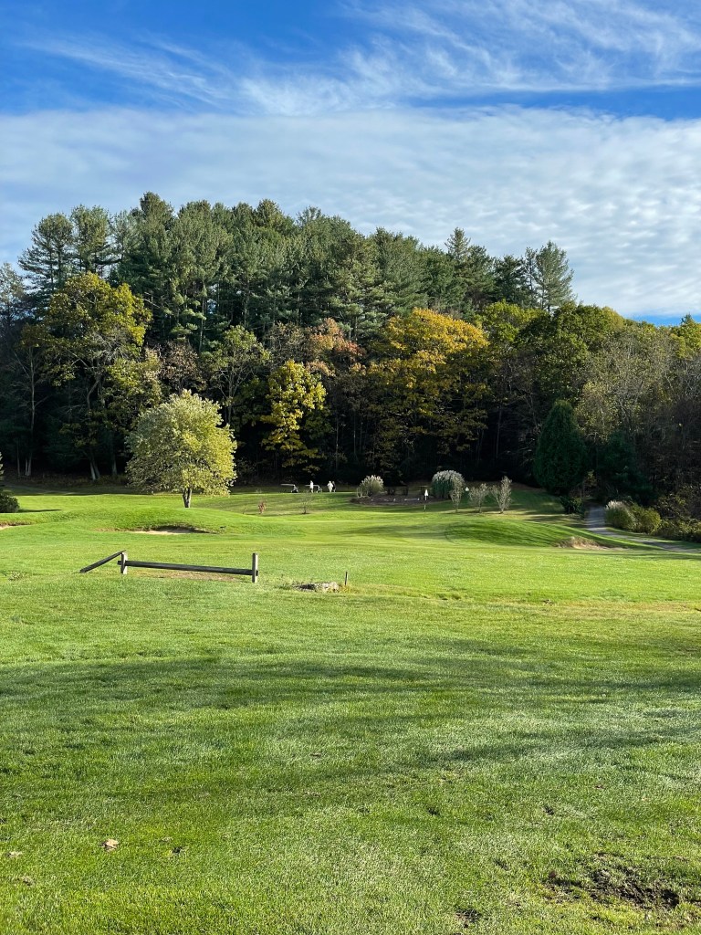 Golf course green with trees in distance